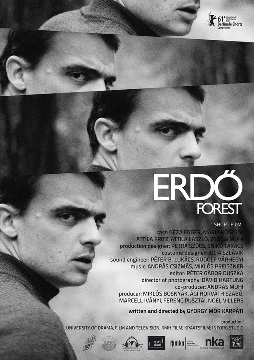 Erdő - Posters