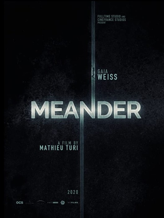 Meander - Survival Instinct - Plakate