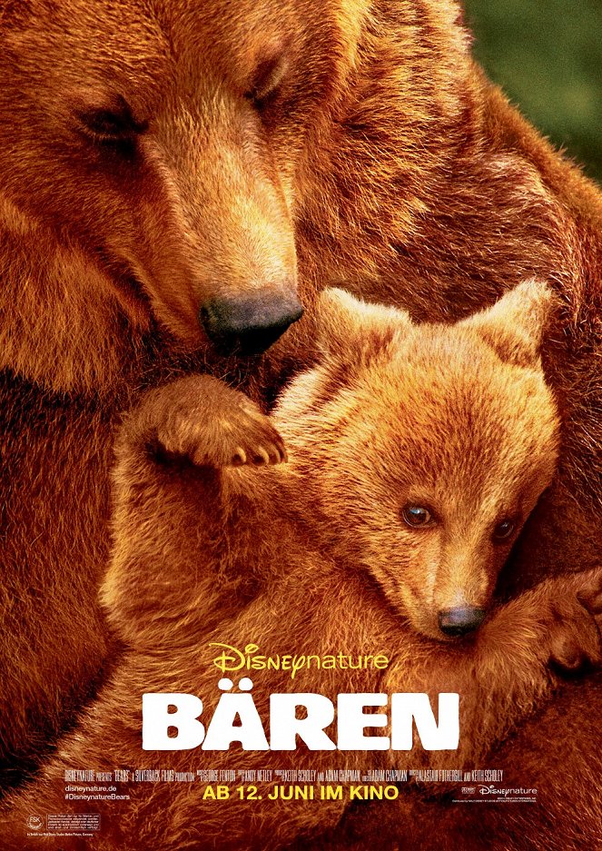 Bären - Plakate