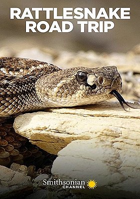 Realm of the Rattlesnake - Cartazes