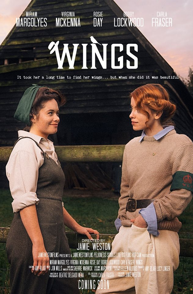 Wings - Affiches