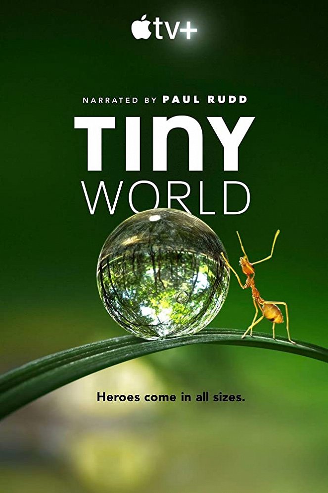 Tiny World - Season 1 - Plakátok