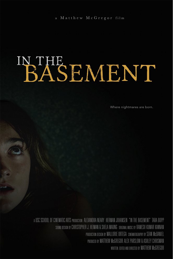 In the Basement - Affiches