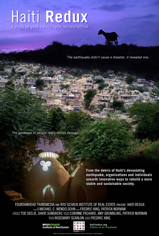 Haiti Redux - Affiches