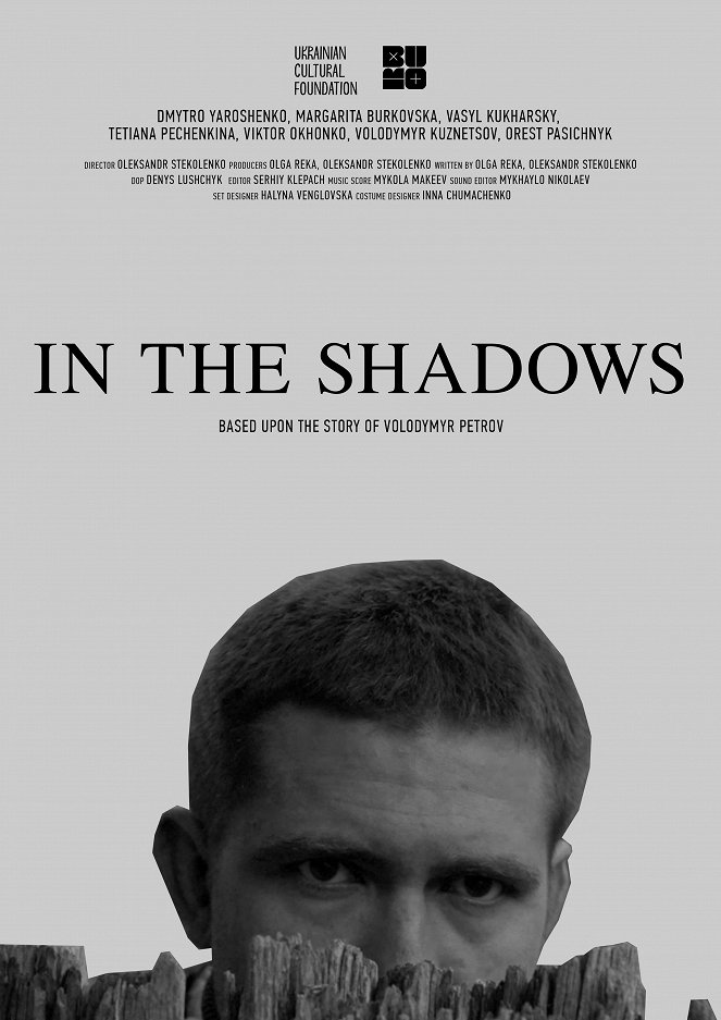 In the Shadows - Affiches