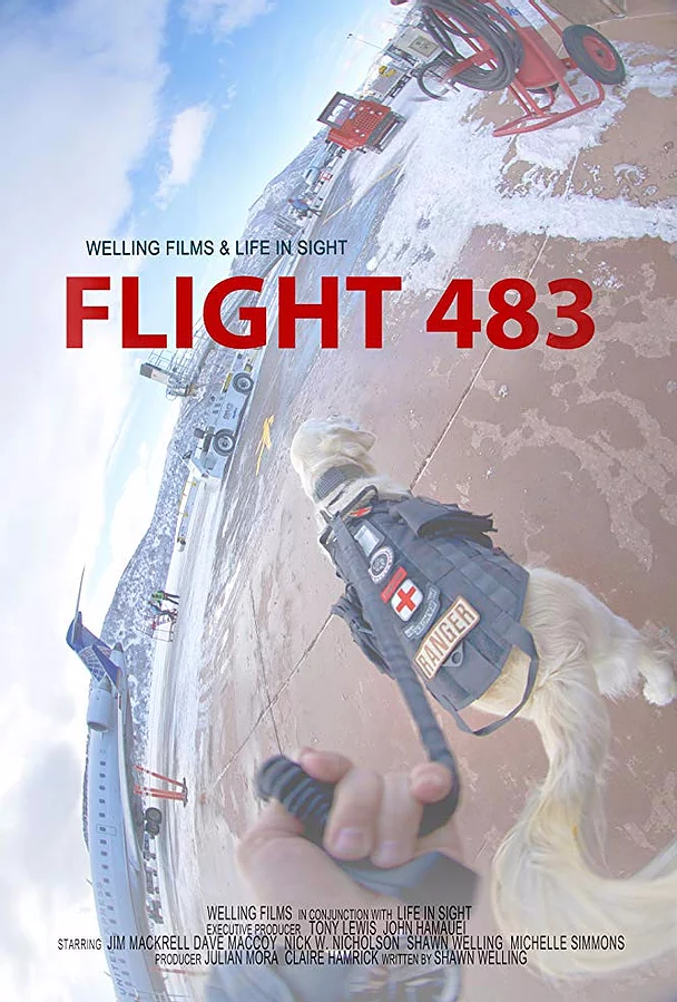 Flight 483 - Plakátok