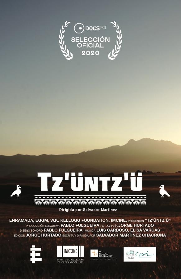 Tz'üntz'ü - Posters