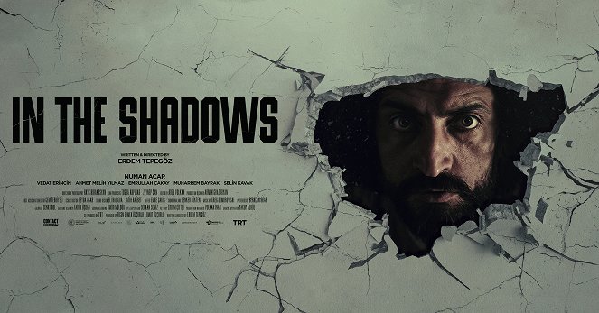 In the Shadows - Posters