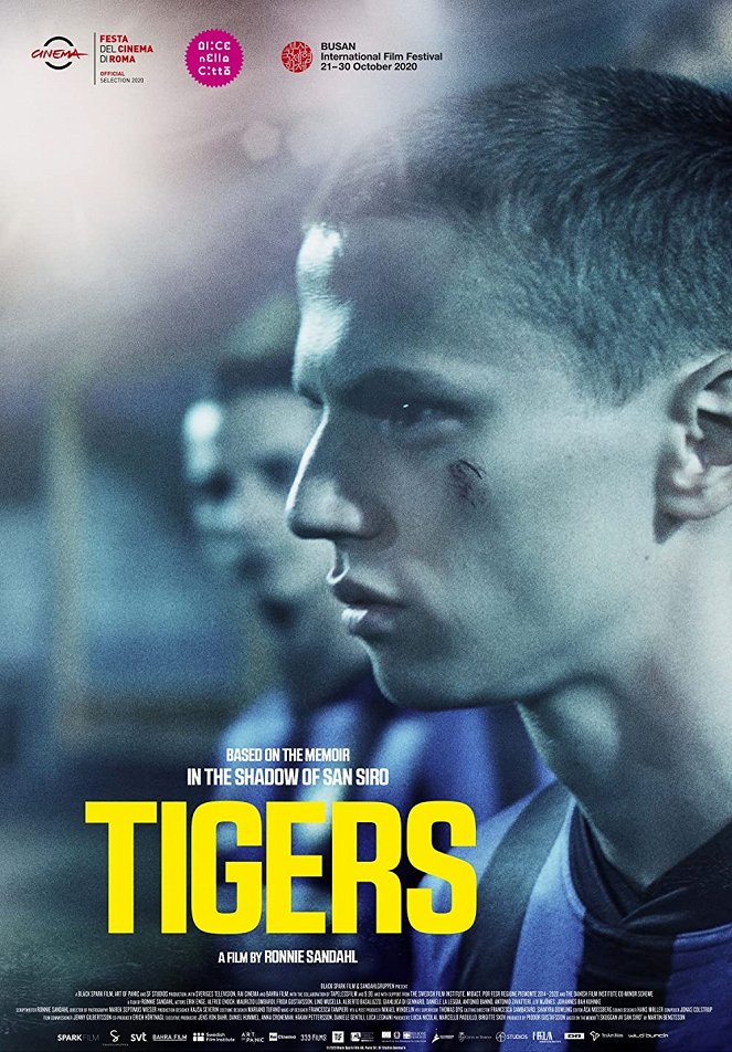 Tygři - Plakáty