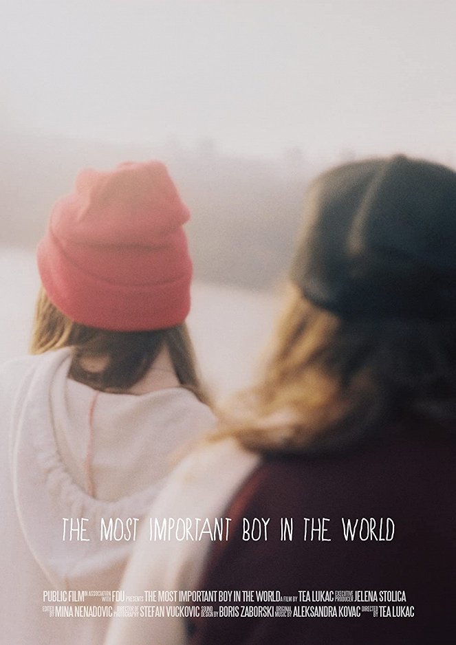 The Most Important Boy in the World - Posters