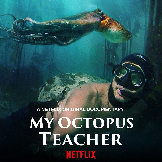 My Octopus Teacher - Posters