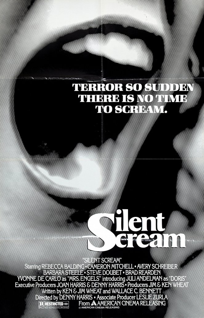 Silent Scream - Julisteet