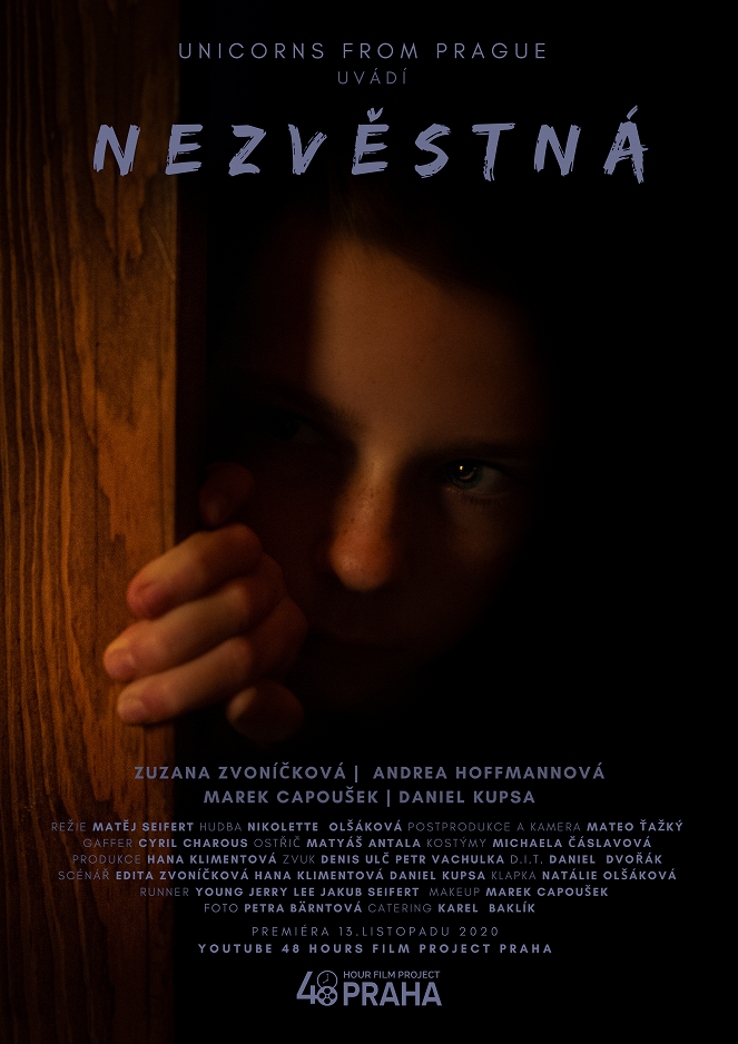 Nezvěstná - Plakate