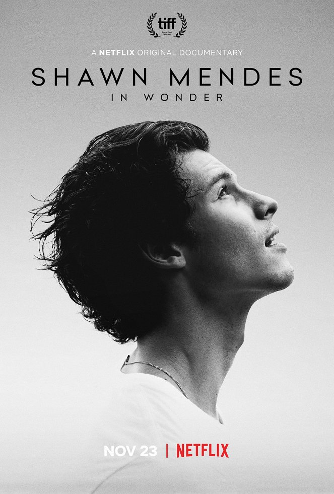 Shawn Mendes: In Wonder - Cartazes