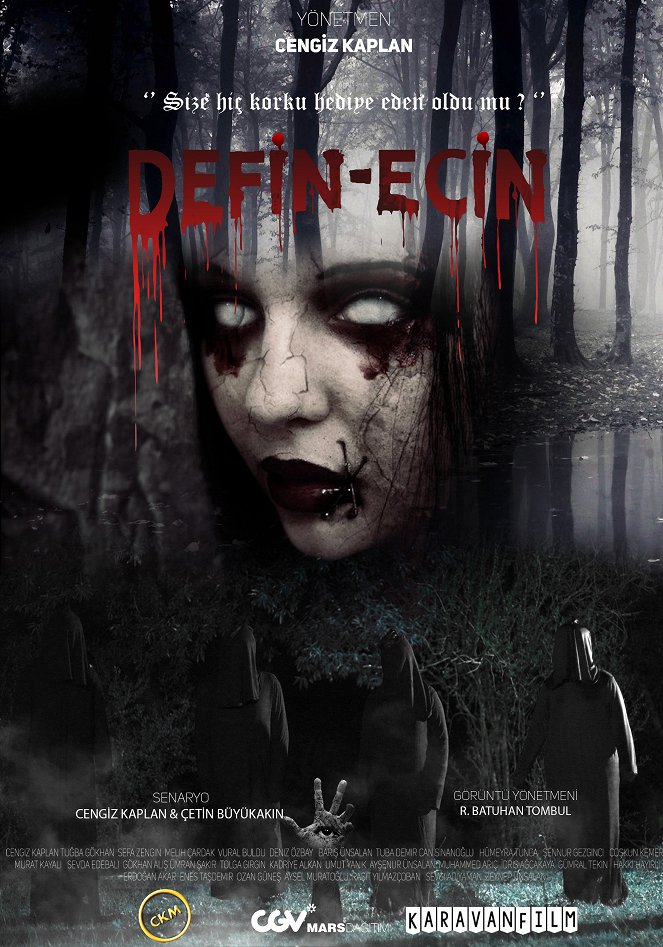 Defin - Ecin - Posters