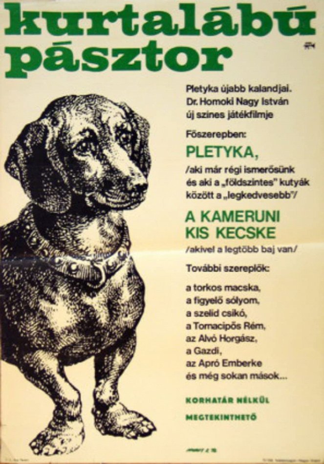 Kurtalábú pásztor - Posters