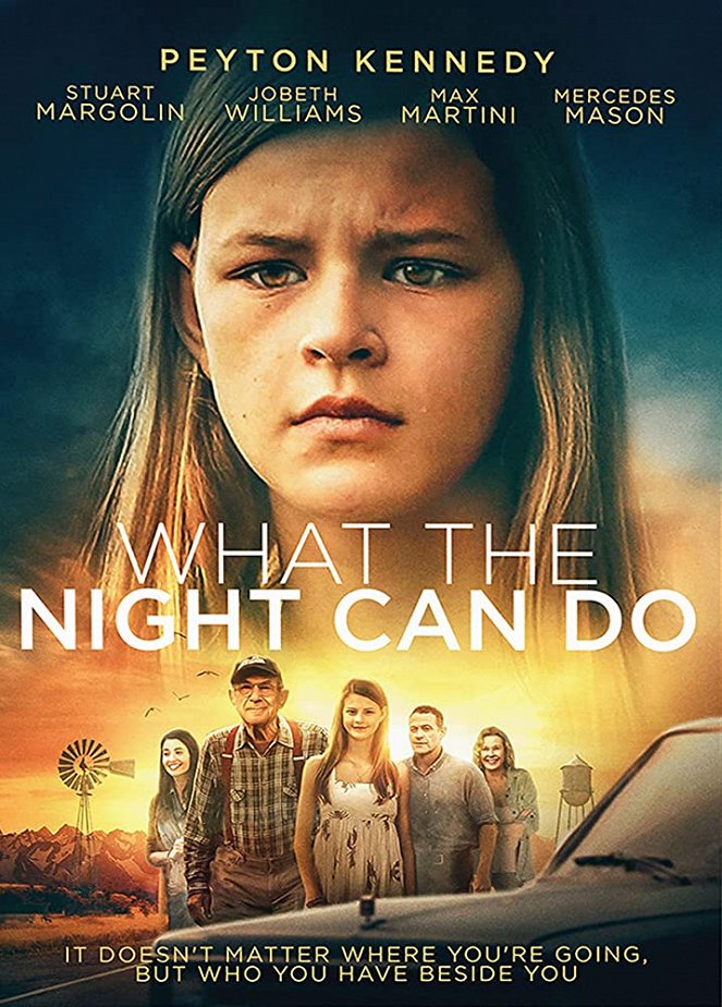 What the Night Can Do - Affiches