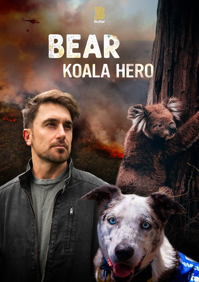 Bear, a koalamentő hős - Plakátok