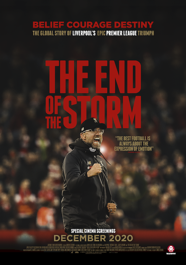 The End of the Storm - Posters