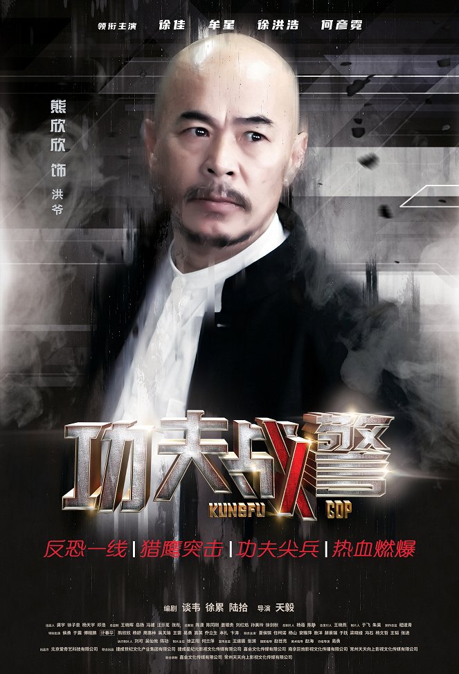 Kung Fu Cop - Posters