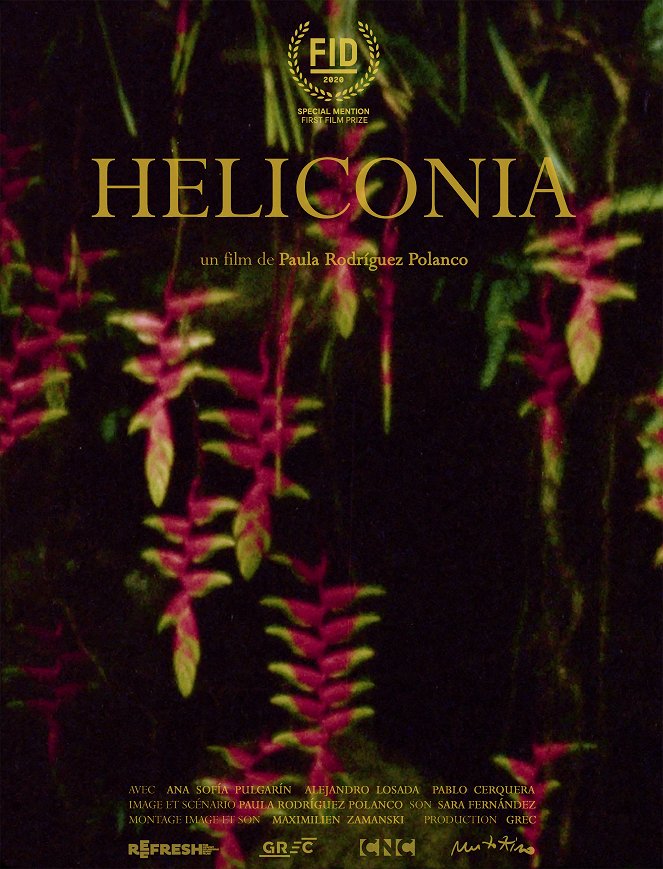 Heliconia - Posters