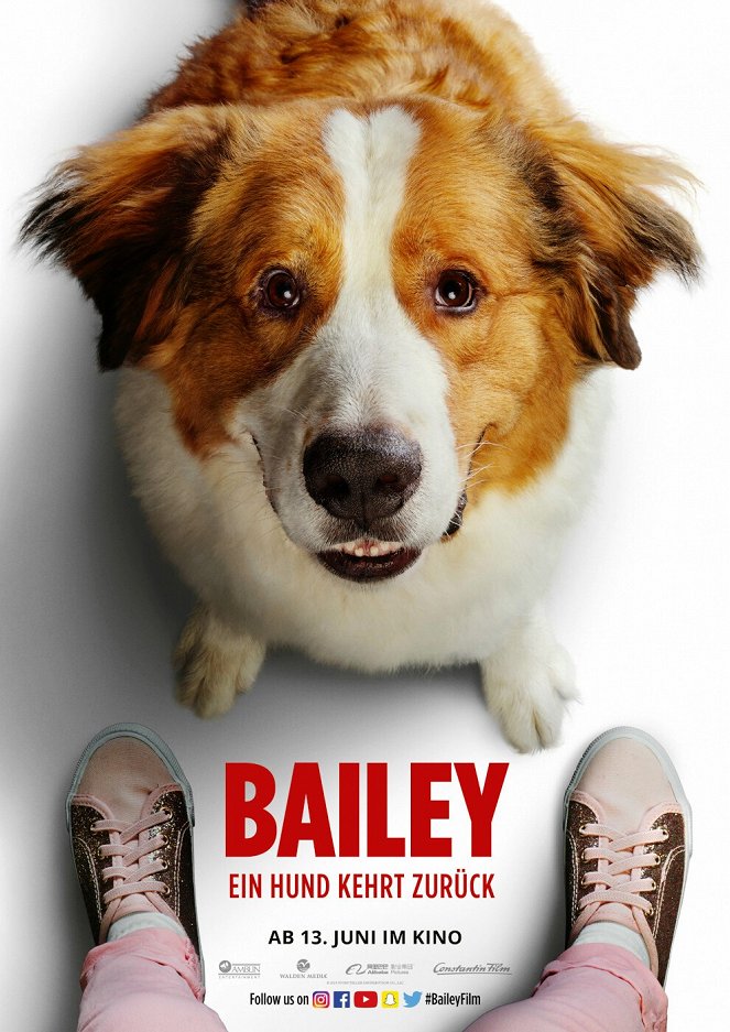 Bailey - Ein Hund kehrt zurück - Plakate