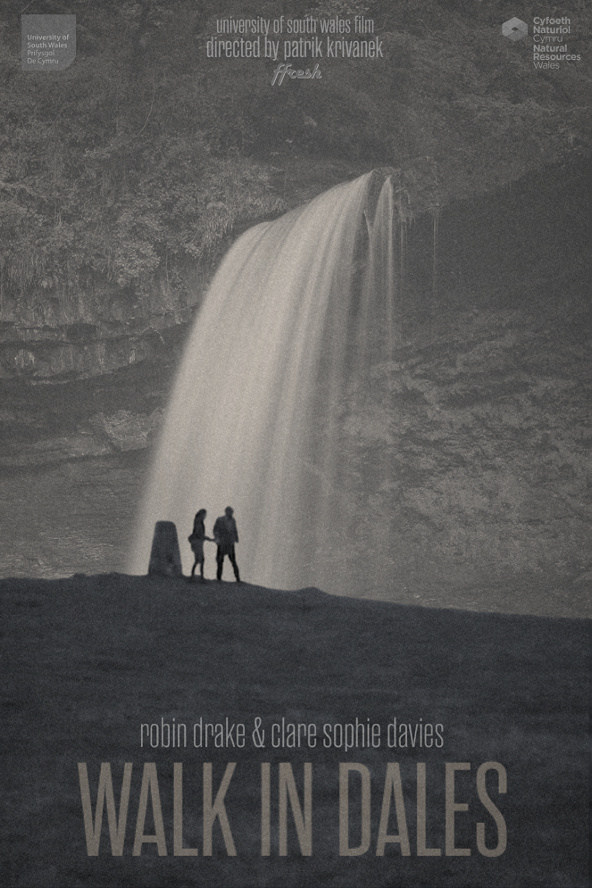 Walk in Dales - Affiches