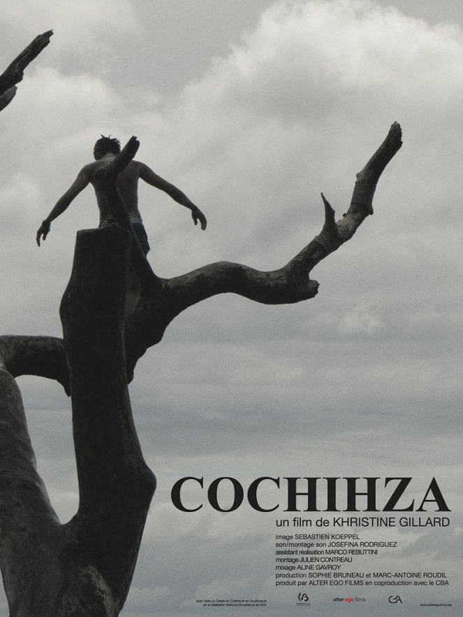 Cochihza - Plagáty