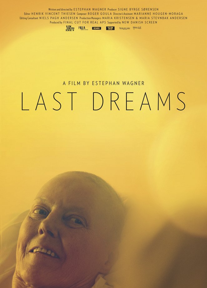 Last Dreams - Posters