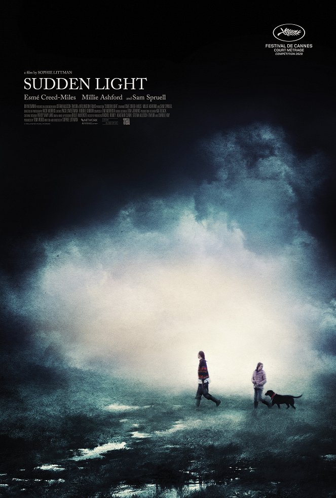 Sudden Light - Posters
