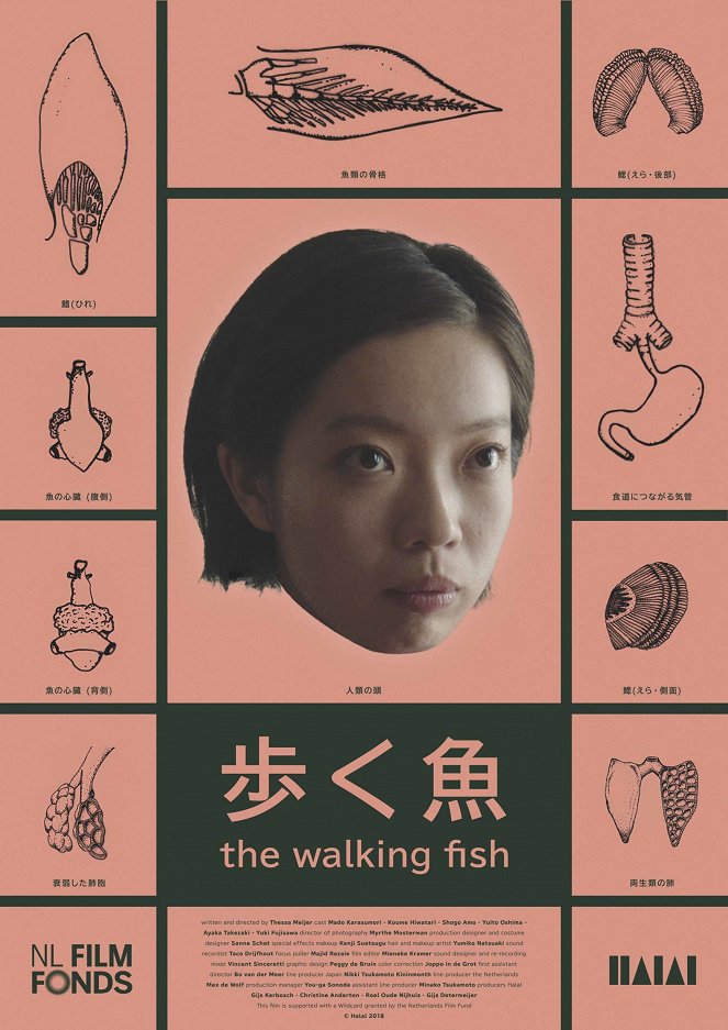 Kráčející ryba - Plagáty