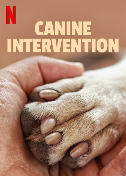 Canine Intervention - Cartazes