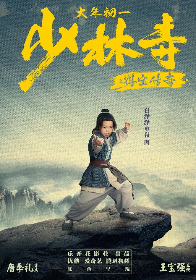 The Legend of Shaolin Temple - Carteles