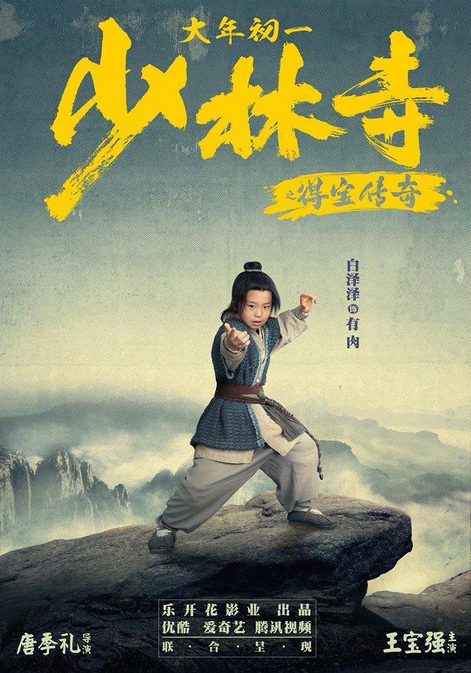 The Legend of Shaolin Temple - Plakaty