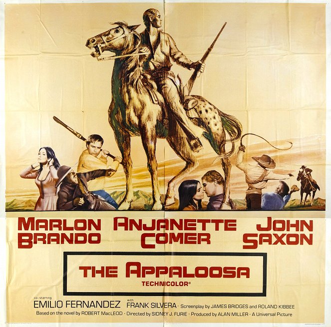 The Appaloosa - Posters