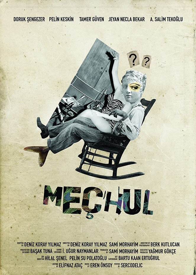 Meçhul - Posters