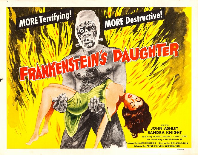 De dochter van Frankenstein - Posters