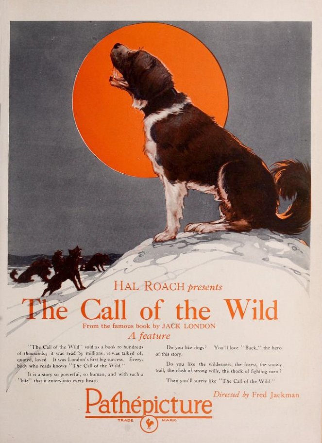 Call of the Wild - Carteles