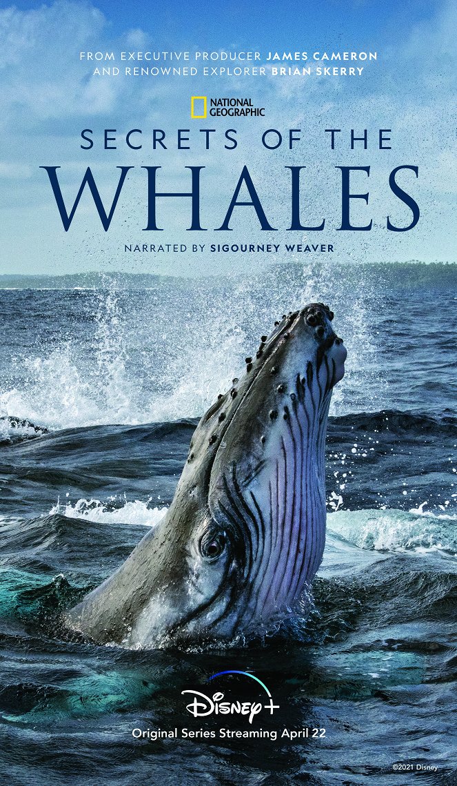Secrets of the Whales - Cartazes