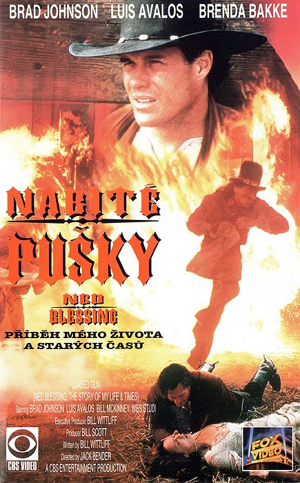 Nabité pušky - Plakáty