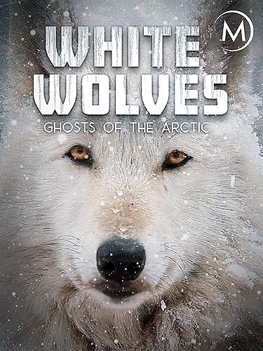 Bieli vlci - duchovia Arktídy - Plagáty