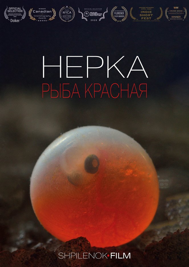 Нерка. Рыба красная - Plakátok