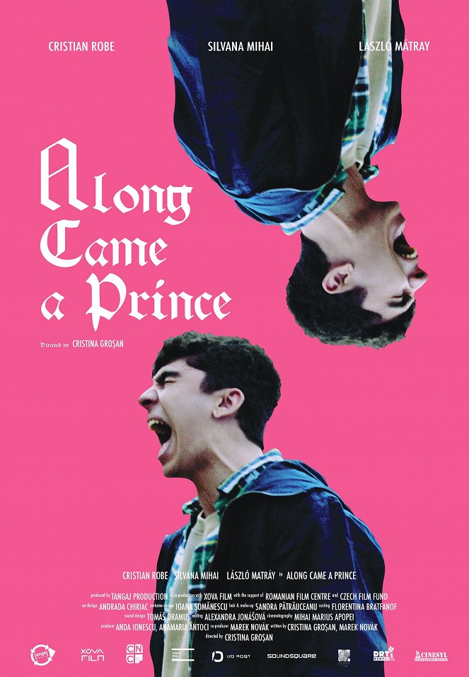 Along Came a Prince - Plakáty
