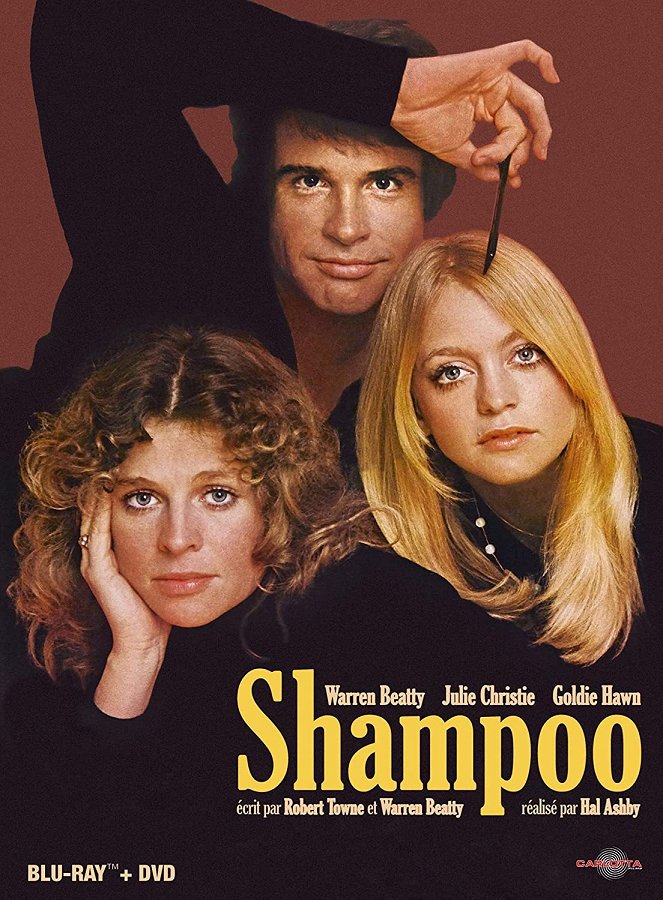 Shampoo - Affiches