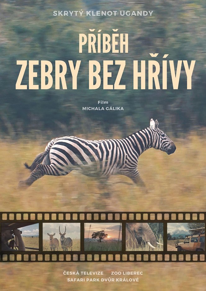 Zebra bez hrivy - Plagáty