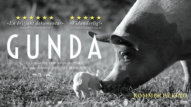 Gunda - Plakáty