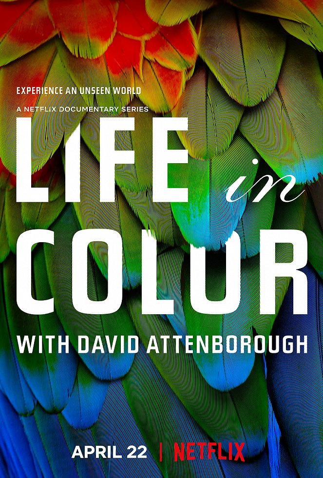 Life in Colour - Posters