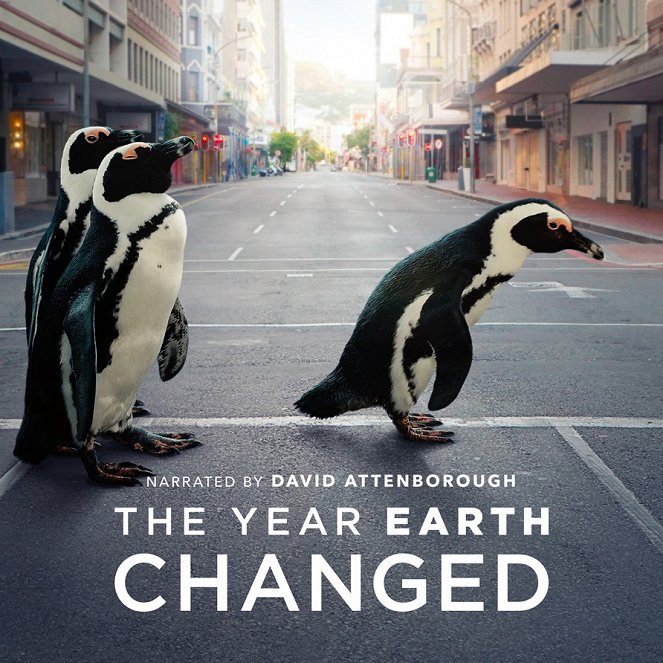 The Year Earth Changed - Cartazes