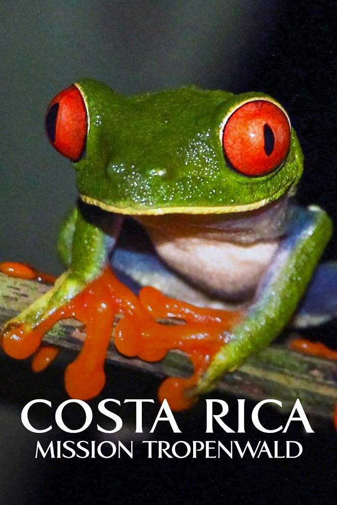 Metamorphosen - Die Wildnis kehrt zurück - Costa Rica – Mission Tropenwald - Plakaty