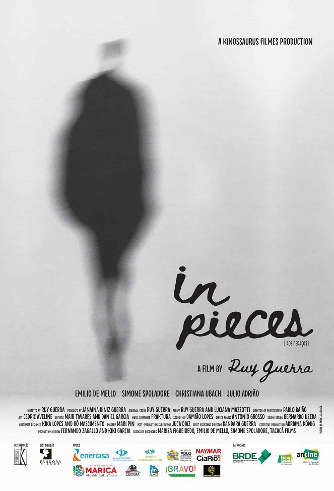 In Pieces - Posters